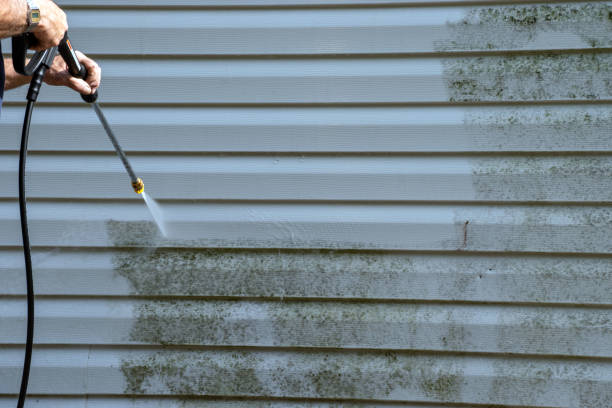 Same-Day Junk Removal Services in St Joseph, MI